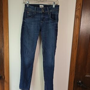Hudson Jeans Indigo Skinny Denim